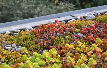 the cost of Hutton Conyers green roof installation