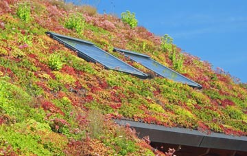 Hutton Conyers living roof systems